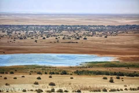 Tunis Village